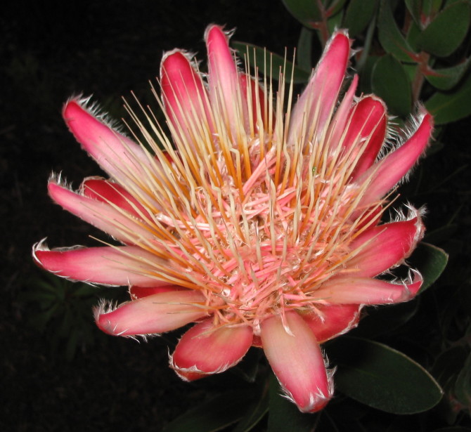 年末年始の休業日のご案内