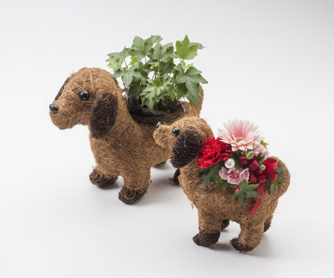 只今、母の日フラワーギフト受付中