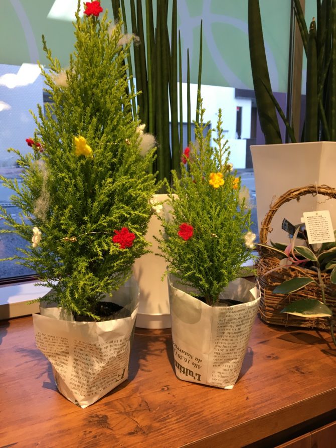 オンフラワーズのクリスマス🎄