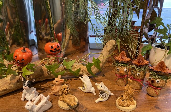 楽しい、可愛いアニマルグッズ❗️