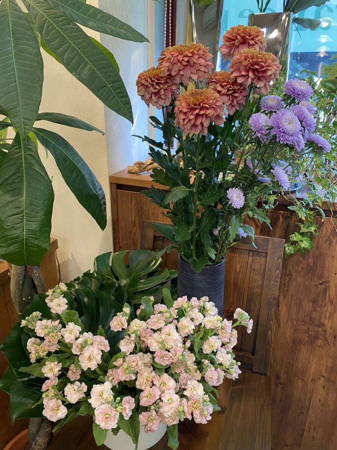 秋の花といえば繊細な花弁の菊